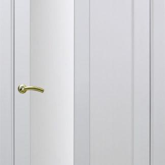 Фото Дверное полотно Турин 521.21 Цвет белый монохром